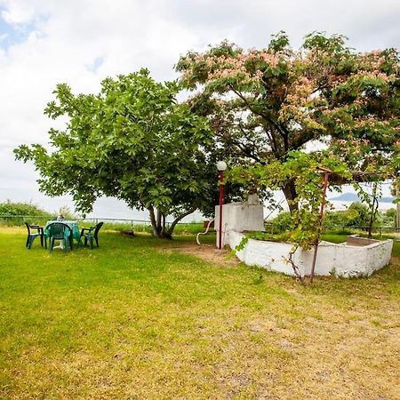 Mola Kaliva Sea View, 100M From The Beach! מראה חיצוני תמונה