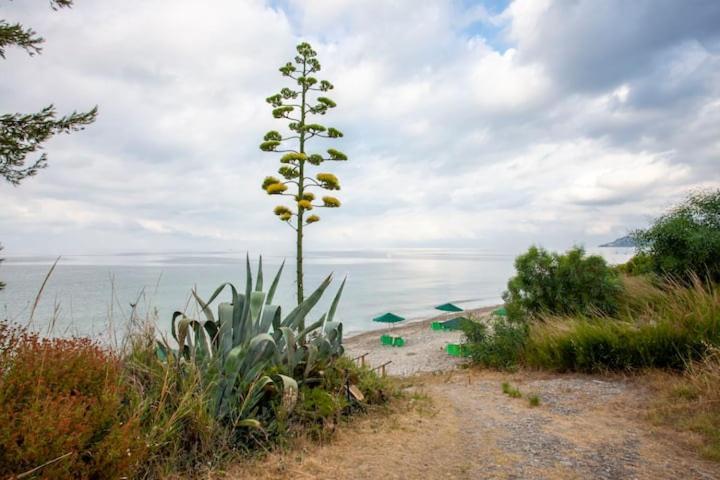 Mola Kaliva Sea View, 100M From The Beach! מראה חיצוני תמונה